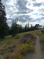 Kytičky už odkvetly, krajina je více podzimní. Kytičky už odkvetly, krajina je více podzimní.
