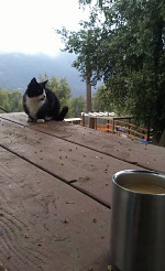 Prvních pár dní jsme přespávání ve stájích považovaly za velmi romantické. Prvních pár dní jsme přespávání ve stájích považovaly za velmi romantické.