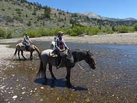 Ani v řece není moc vody.