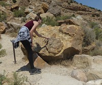 Dvojotisk stopy hadrosaura.