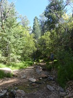 Třetí den výletu jsme konečně vyjeli z pouští do zeleně - Hidden Haven.