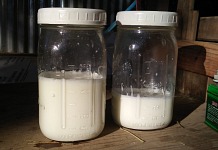 ...aby na mě zbylo taky trochu mlíka. ...aby na mě zbylo taky trochu mlíka.