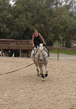 Voltižový mazák Jamie bude Lise chybět stejně jako holky. Voltižový mazák Jamie bude Lise chybět stejně jako holky.