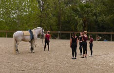 Jeden z posledních voltižových tréninků. Jeden z posledních voltižových tréninků.