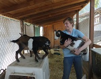 Tom a Rocket — Pluto a Casper se strkají na přepravce. Tom a Rocket — Pluto a Casper se strkají na přepravce.