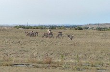 Dokud nezačnou zkoumat vaše ubohé pokusy o větrolam.