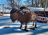 We recommend Terry Bison Ranch to all visitors.