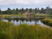 We thought this pond would be easy to hike around.