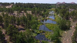 A view from the drone revealed a cascade of beaver dams and impenetrable little swamps.