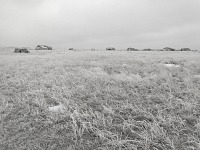 Letošní teplotní rekord byl mínus dvacet.