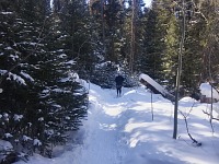 Z celé rodiny jsem jediný skutečně nadšený běžkař.