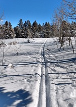 Já mám ale raději klasickou stopu.