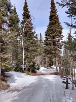 O čtyři dny později už to bylo o lyže.