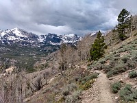 Nad horami se zatahuje.