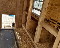 Slepice kurník schválily.