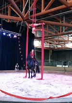 Do cirkusu jsem šla jen s Lisou. Do cirkusu jsem šla jen s Lisou.