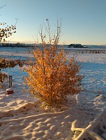 ...a dva dny na to máme sníh. ...a dva dny na to máme sníh.