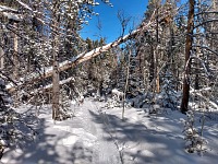 Já z nich ale raději unikám někam do lesa. Já z nich ale raději unikám někam do lesa.