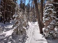A zase krásně nasněžilo. A zase krásně nasněžilo.