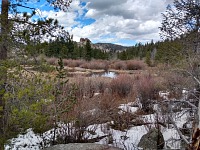Bobři staví usilovně hráze. Bobři staví usilovně hráze.