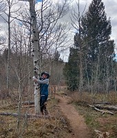 Do lesa chodíme velice rádi. Do lesa chodíme velice rádi.