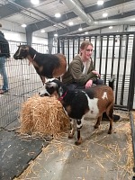 Lori a Enya se na výstavě vystavují. Lori a Enya se na výstavě vystavují.