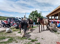 Parkoviště před Bunkhousem.