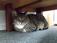 Guido lidem moc nedůvěřuje.