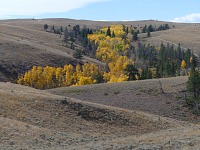 Stromky v údolíčku.