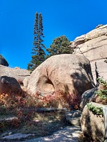 Podzim v Box Canyon.