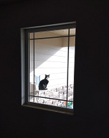 Hugo (konečně) venku.