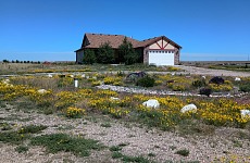 Během mého pobytu v Evropě nám doma všechno rozkvetlo.