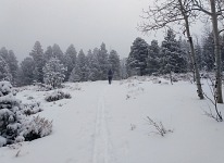 Nakonec i nasněžilo.