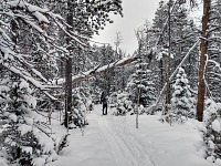 Tom se mnou chodil na běžky.