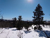 Carol zatím brousí všude možně na běžkách.