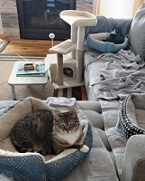 Občas ale už zvládnou být všichni tři v jedné místnosti. Občas ale už zvládnou být všichni tři v jedné místnosti.