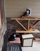 Hugo a Guido se schovávají před Dante v místě, kam za nimi nepůjde - venku. Hugo a Guido se schovávají před Dante v místě, kam za nimi nepůjde - venku.