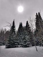 Záchvěv zimy. Záchvěv zimy.