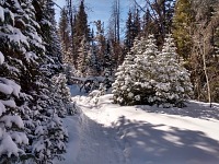 Slunečné počasí je krásné, ale sníh odtává. Slunečné počasí je krásné, ale sníh odtává.