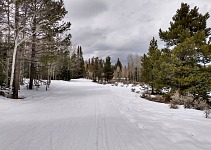 Poslední běžky jednatřicátého března. Poslední běžky jednatřicátého března.