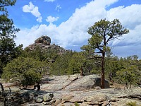 Rovněž proniknul na Van Hornovu hranu v našem národním lese.