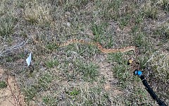 Co se nám urodilo na zahrádce.