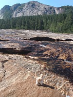 Carolin maskot na řece Fisstøylsåni u Brokke.