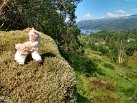 Expedice Fossen: llama obdivuje údolí Vassdalen a stejnojmenné ostrůvky.