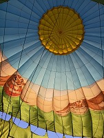 Aardwark Embark-Hareship.