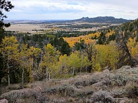 Pole Mountain - barvy.