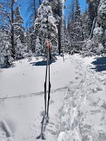 Ani nevadilo, že jsem konec musela odšlapat pěšky.