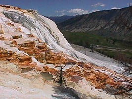 Mammoth Hot Springs