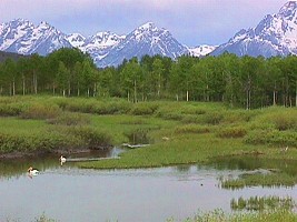 Národní park Grand Teton